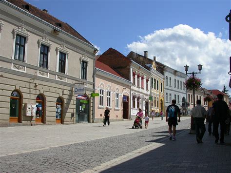 bacau miercurea ciuc|Miercurea Ciuc